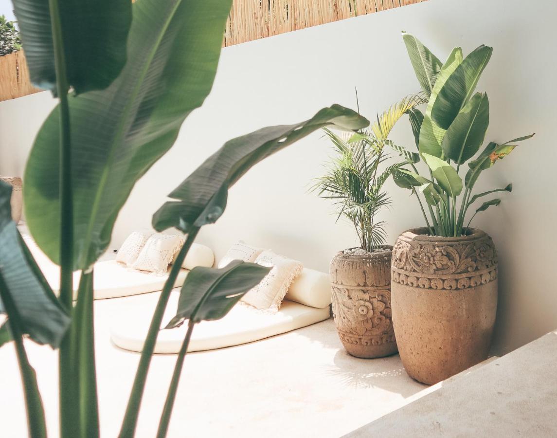 Arya Wellness - Female Only Vandrerhjem Ubud Eksteriør bilde